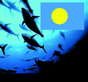 Credit - Leilani Reklai, https://islandtimes.org/ Palau national marine sanctuary. Credit - Leilani Reklai, https://islandtimes.org/