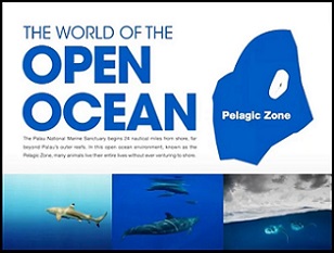 Credit - https://islandtimes.org/ Credit - https://islandtimes.org/