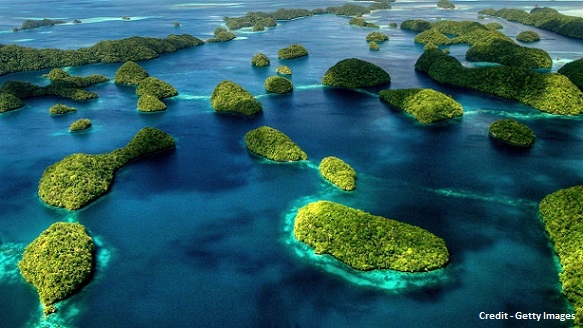 Palau Coral