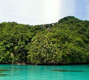 Credit - https://www.islandconservation.org Ngeanges Island, Palau. Credit - https://www.islandconservation.org