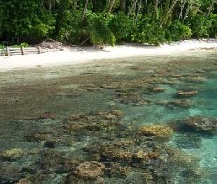Credit - Tripadvisor.com Gatokae Island, Marovo Lagoon. Solomon Islands. Credit - Tripadvisor.com