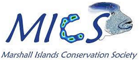 MICS logo