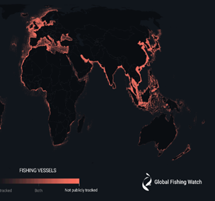 Credit - Global Fishing Watch Credit - Global Fishing Watch
