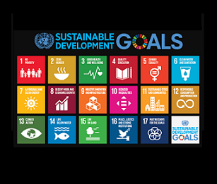 sustainable development goals. credit - www.un.org