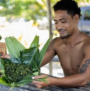 A man wraps freshly cleaned limu and sea grapes in a village on Savaii island in Samoa. Credit - Ulusapeti Tiitii A man wraps freshly cleaned limu and sea grapes in a village on Savaii island in Samoa. Credit - Ulusapeti Tiitii