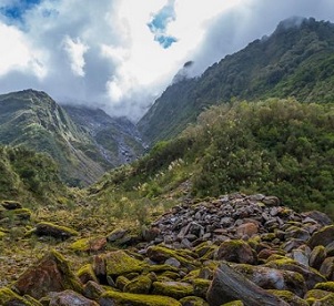significant natural areas, New Zealand. Credit - 123RF significant natural areas, New Zealand. Credit - 123RF