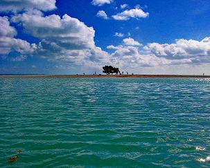 Credit - V. Jungblut Sandbar, Tarawa lagoon, South Tarawa, Kiribati. Credit - V. Jungblut