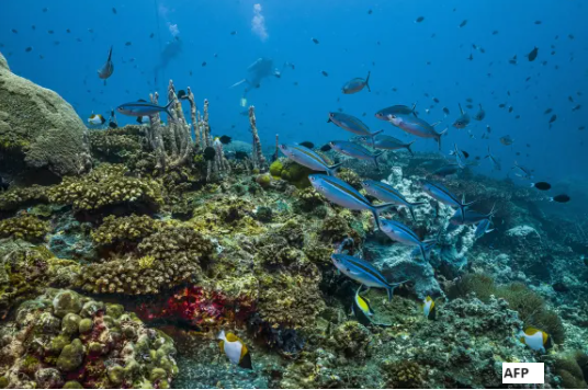biodiversity