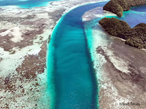 Palau, coral reef
