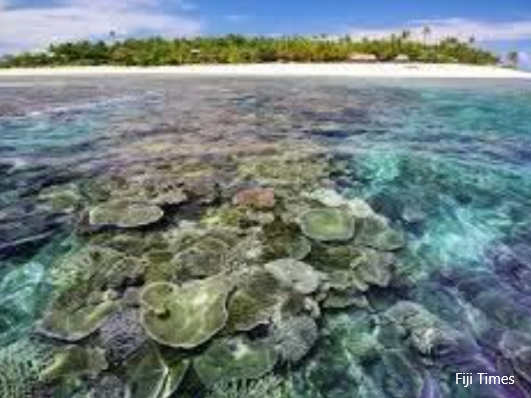 Tavarua, MPA