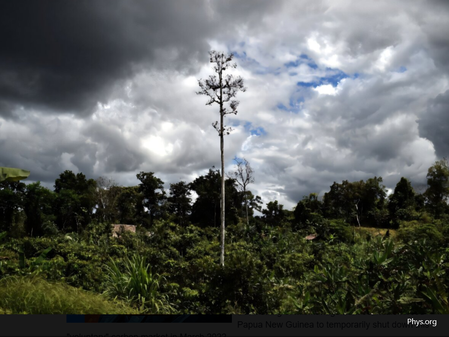 PNG, carbon trade