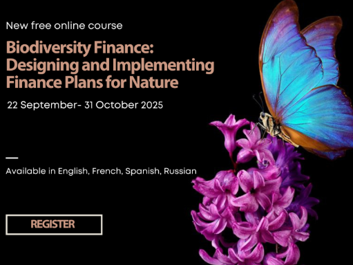 Free Course