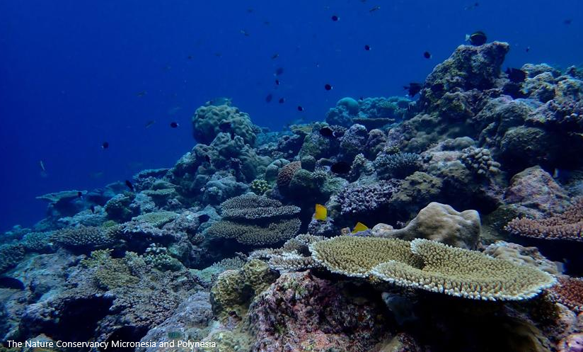 Palau