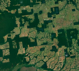 Google Earth images showing forest fragments in a deforested landscape in Rio Omerê, Rondônia, Brazil. Google Earth images showing forest fragments in a deforested landscape in Rio Omerê, Rondônia, Brazil.