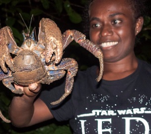 Credit - Moffat Mamu, https://www.solomonstarnews.com/ A guide handling a coconut crab at Tetepare. Credit - Moffat Mamu, https://www.solomonstarnews.com/