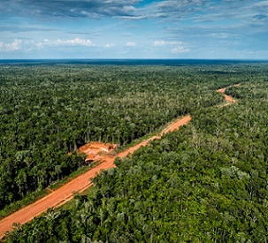 The Trans-Papua Highway, still under construction, cuts through a pristine rainforest in Papua province in Indonesia. Credit - ULET IFANSASTI/GREENPEACE The Trans-Papua Highway, still under construction, cuts through a pristine rainforest in Papua province in Indonesia. Credit - ULET IFANSASTI/GREENPEACE