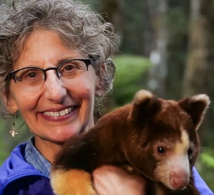 Image - Jonathan Byers courtesy of the Tree Kangaroo Conservation Program. Dr. Lisa Dabek holds a Matschie’s tree kangaroo. Image by Jonathan Byers courtesy of the Tree Kangaroo Conservation Program.
