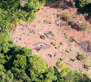 Tropical forests are some of the most threatened ecosystems on Earth, largely due to recent human activities. Credit - Sean Mattson, Smithsonian Tropical Research Institute (CC BY-NC) Tropical forests are some of the most threatened ecosystems on Earth, largely due to recent human activities. Credit - Sean Mattson, Smithsonian Tropical Research Institute (CC BY-NC)