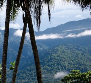 Credit - Tenkile Conservation Alliance Toricelli mountain range, Papua New Guinea. Credit - Tenkile Conservation Alliance