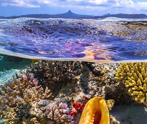 Credit - Ocean Image Bank/Gaby Barathieu The shallow waters of Mayotte Island in the Indian Ocean. Credit - Ocean Image Bank/Gaby Barathieu