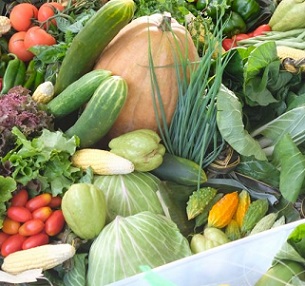 Fresh vegetables. Credit - https://www.innov4agpacific.net/ Fresh vegetables. Credit - https://www.innov4agpacific.net/