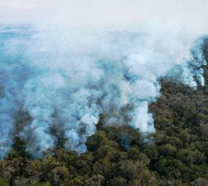 Fires scorched through a third of Brazil's Pantanal wetlands in 2020. credit - https://phys.org/