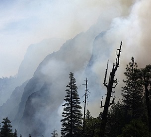 In this June 11, 2019, file photo, canyon walls are shrouded with smoke from a prescribed burn in Kings Canyon National Park, Calif. Ten of the world's most treasured forests and nature reserves, including those in Yosemite National Park in the United States and Sumatra's tropical rainforest in Indonesia, have gone from being net consumers of heat-trapping carbon dioxide in the atmosphere to net generators of it, a new U.N.-backed report shows. The first of its kind study by the International Union for Conservation of Nature and UNESCO cited factors like logging, wildfires and clearance of land for agriculture. Credit: AP Photo/Brian Melley, File In this June 11, 2019, file photo, canyon walls are shrouded with smoke from a prescribed burn in Kings Canyon National Park, Calif. Ten of the world's most treasured forests and nature reserves, including those in Yosemite National Park in the United States and Sumatra's tropical rainforest in Indonesia, have gone from being net consumers of heat-trapping carbon dioxide in the atmosphere to net generators of it, a new U.N.-backed report shows. The first of its kind study by the International Union for Cons