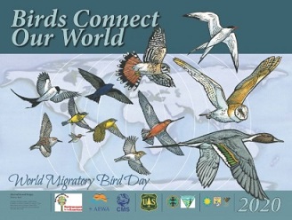 WMBD logo