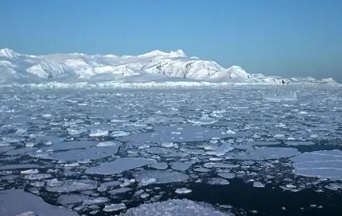 Glaciers in the South Shetland Islands, Antarctica. Temperatures in the region have warmed rapidly in recent years. Photograph: Johan Ordóñez/AFP via Getty Images