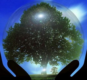Is environmentalism in our genes?. Credit: CC0 Public Domain Is environmentalism in our genes?. Credit: CC0 Public Domain