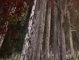 A Wisconsin type forest created in virtual reality to illustrate the effects of climate change scenarios on the trees and forest. Credit: Alexander Klippel and Jiawei Huang, Penn State