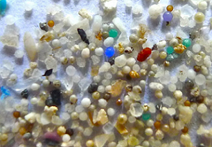 microplastics microplastics