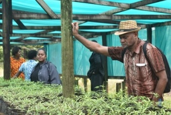 Learning Exchange Strengthens Understanding In Plant Propagation And Nursery Design And Management. Credit - SPREP