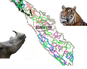 Certified 'sustainable' palm oil fields endanger mammal habitats and biodiverse tropical forests over 30 years. source - https://phys.org