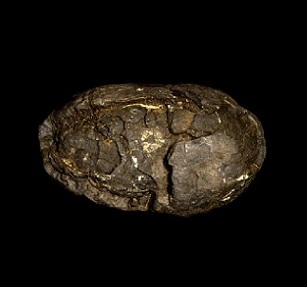 Polymetallic nodule. Credit: John Cancalosi Alamy