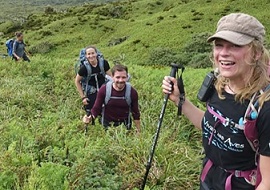 They tried to save seabirds from giant mice on a remote island, but Covid-19