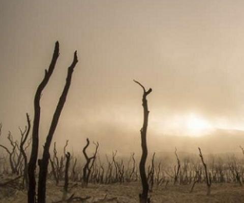 World needs $8.1 trillion investment in nature by 2050 to tackle triple planetary crisis. Credit: CC0 Public Domain