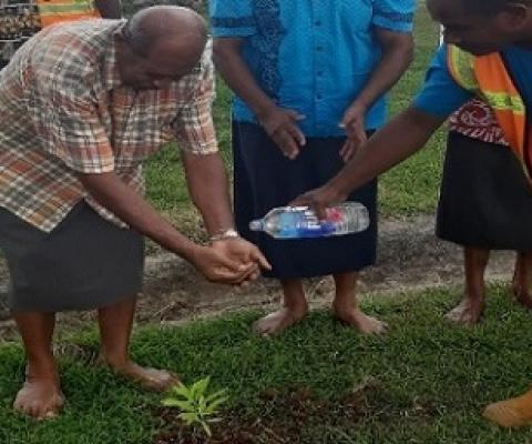 Nearly 200,000 trees planted in Fiji