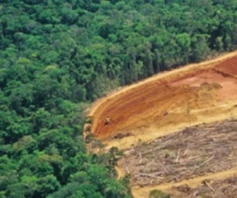 Habitat loss and such human encroachment as this clear-cutting in the Amazon (shown) are a major threat to biodiversity worldwide. The United Nations is drafting an ambitious new set of conservation targets to safeguard species and prevent further losses.  LUOMAN/E+/GETTY IMAGES PLUS