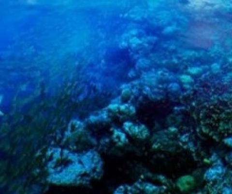 Marovo lagoon_Solomon Islands_S. Chape