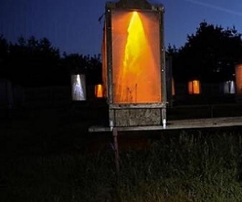 Credit: University of Plymouth