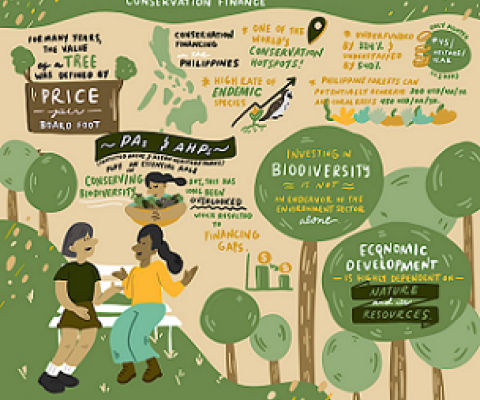 Graphic of sustainable financing approach for ASEAN Heritage Parks. Credit - ASEAN Centre for Biodiversity