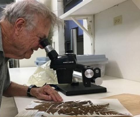 Art Whistler at work (Source: Alice Campbell)