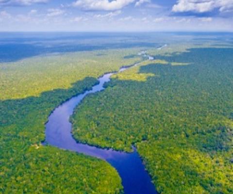 The Amazon river in Brazil. Photo credit: worldclassphoto/Shutterstock.com. 