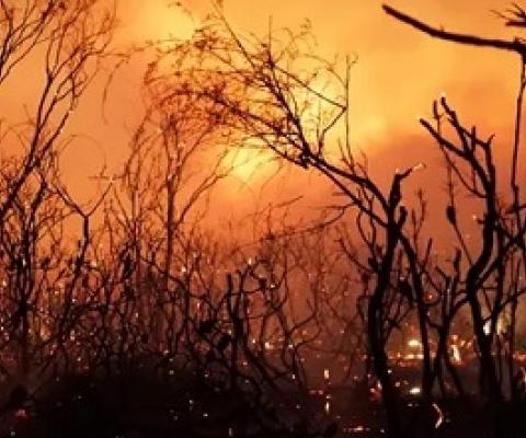 The claim national parks have been ‘locked up’ has been described as a ‘very tired and very old conspiracy that is always regurgitated and it’s always found to be wanting after the fires’. Photograph: Rob Griffith/AFP/Getty Images