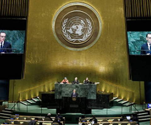 BBNJ treaty negotiations. New York