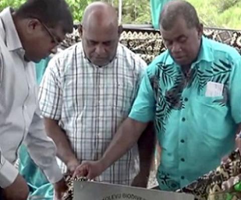 Kalokolevu village outside Lami is the first in Fiji’s history to establish a Biodiversity Park. Credit - https://www.fbcnews.com.fj/ 