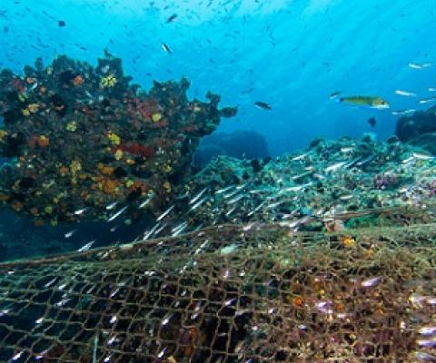 The estimated cost alone of illegal, unreported and unregulated fishing within the western and central Pacific is more than $US616m ($870.5m) per year. Source - https://www.theaustralian.com.au/ 