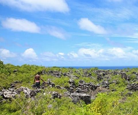 When mining finally ended, 22m tonnes of land had been removed. Credit - Janice Cantieri