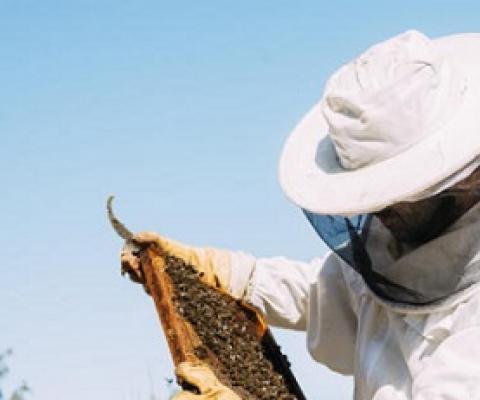 Beekeeper near a bee hive. photo - 123RF